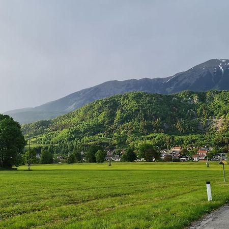 Guesthouse Osvald Zirovnica Bagian luar foto