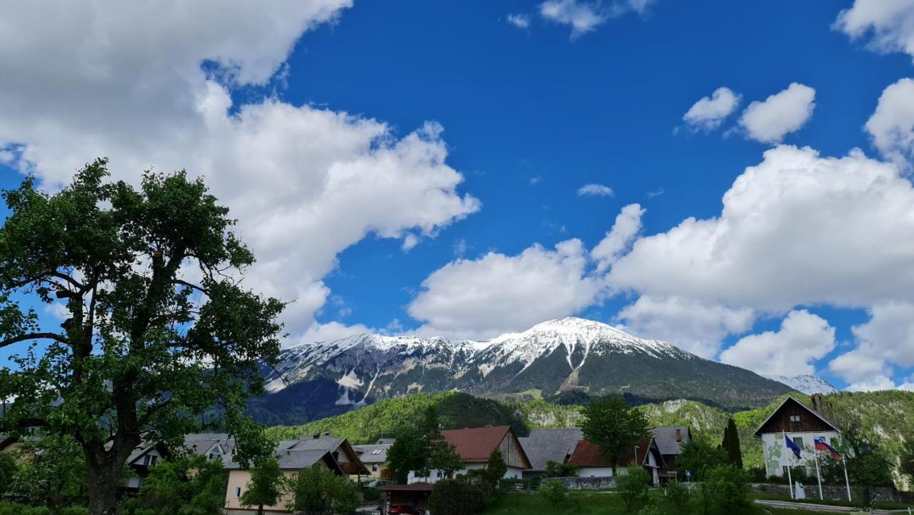 Guesthouse Osvald Zirovnica Bagian luar foto