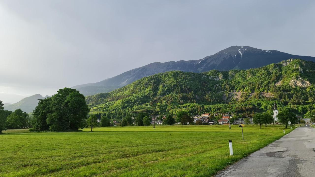 Guesthouse Osvald Zirovnica Bagian luar foto