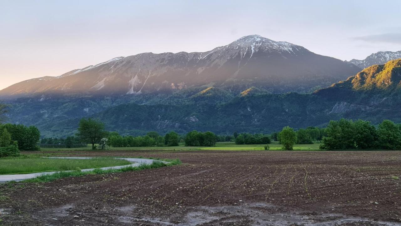 Guesthouse Osvald Zirovnica Bagian luar foto