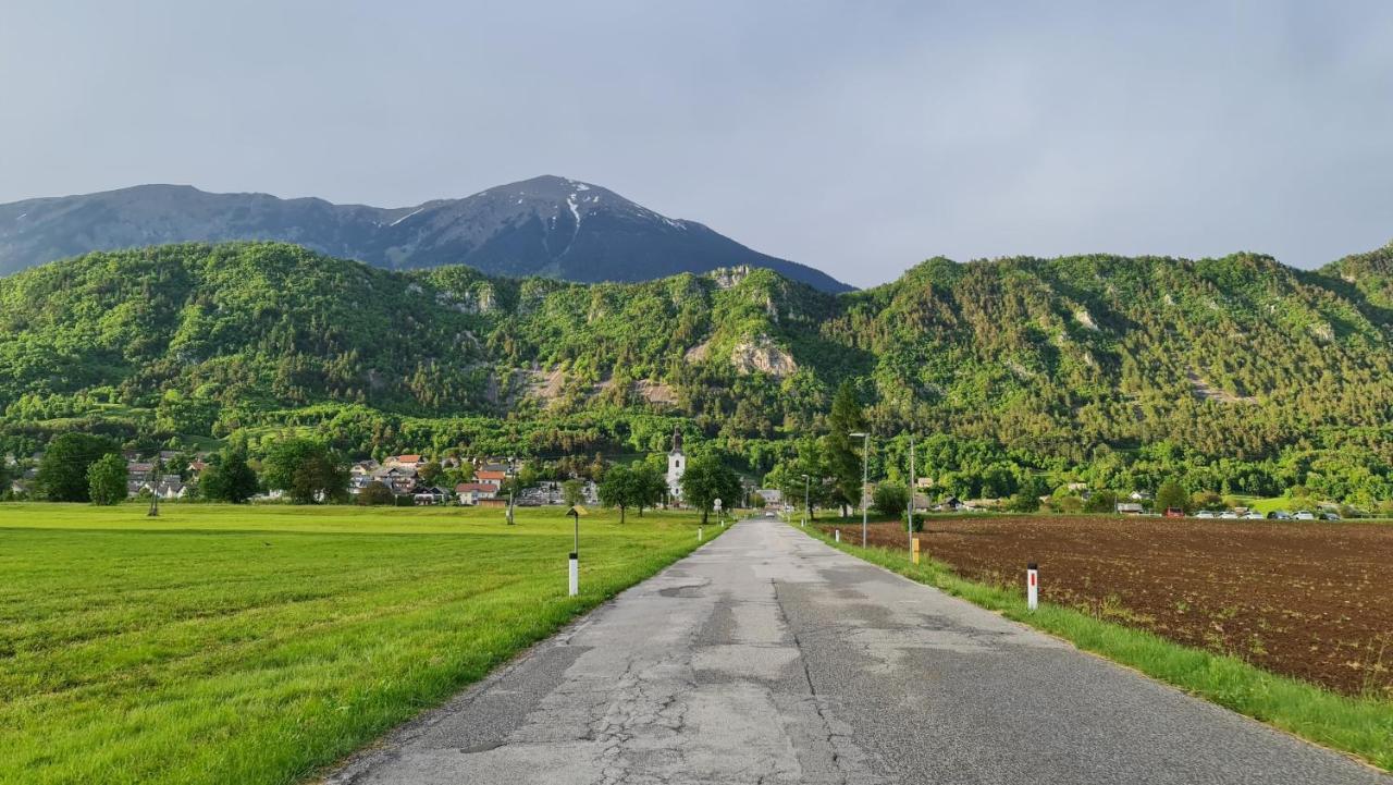 Guesthouse Osvald Zirovnica Bagian luar foto