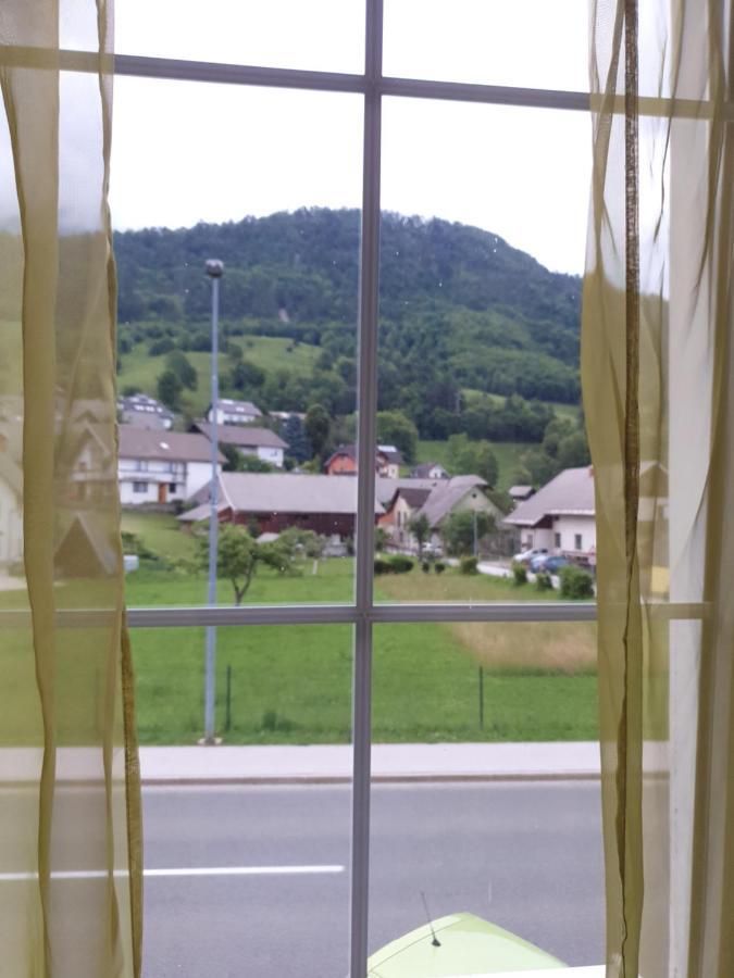 Guesthouse Osvald Zirovnica Bagian luar foto