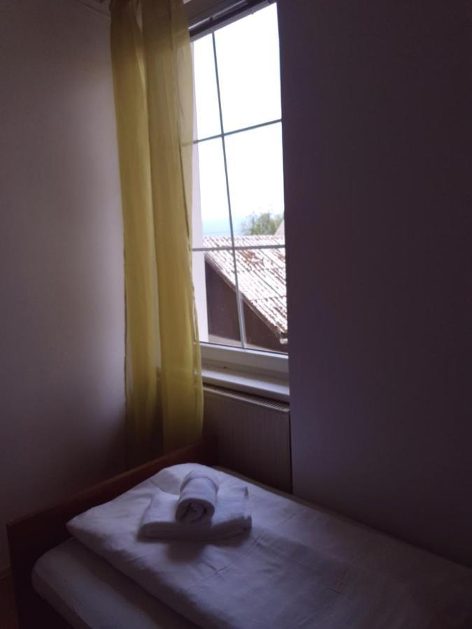 Guesthouse Osvald Zirovnica Bagian luar foto
