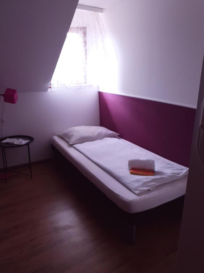 Guesthouse Osvald Zirovnica Bagian luar foto