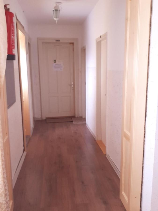 Guesthouse Osvald Zirovnica Bagian luar foto